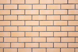 Кирпич Винзер керамический лицевой СОЛОМА 1NF М150 